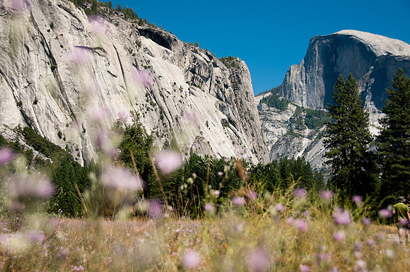 Yosemite-7909