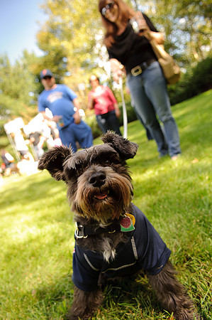 PupsPilsners-0572