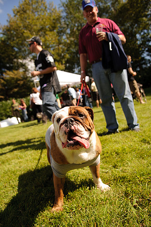 PupsPilsners-0602