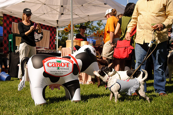 PupsPilsners-0609