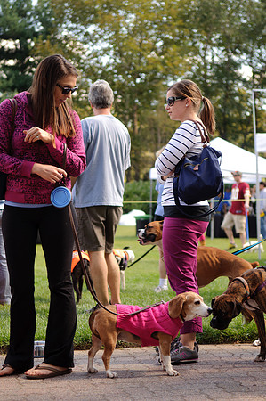 PupsPilsners-0551