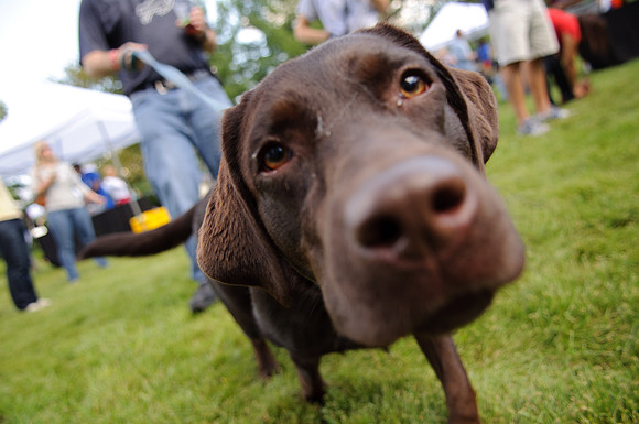 PupsPilsners-0564