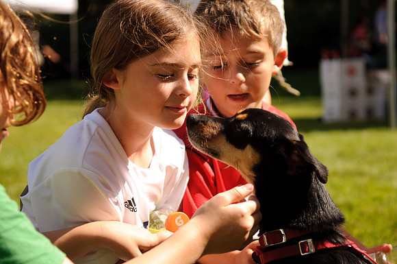 PupsPilsners-0592