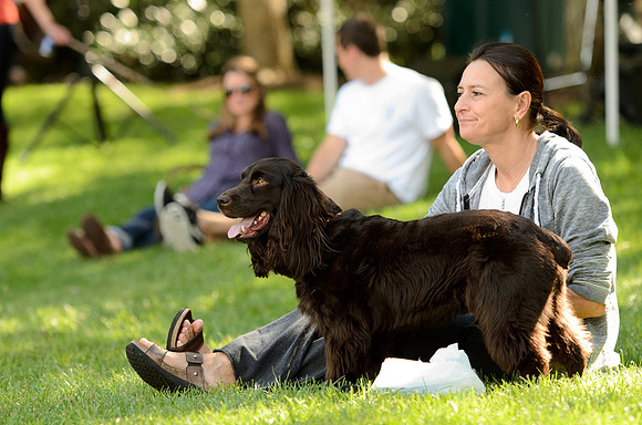 PupsPilsners-4592