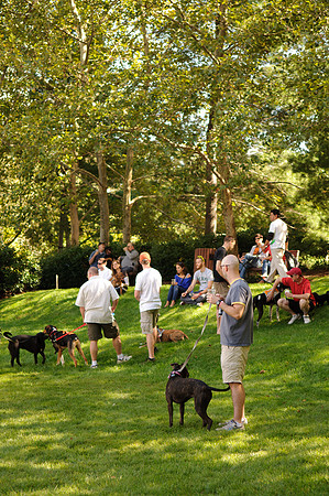 PupsPilsners-0632