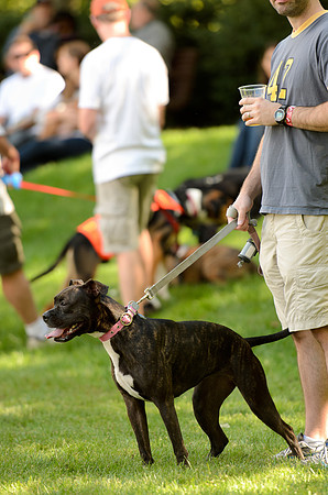 PupsPilsners-4633