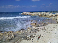 Cayman-115019