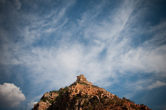 Arizona-1198