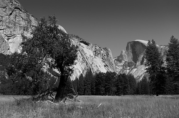 Yosemite-7911